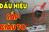 Tổ Tiên nói: 'Mở cửa thấy ngay 3 thứ là Điềm Lành, con cháu đời đời giàu có', đó là gì?