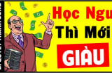 Vì sao nhiều người học dốt lại rất thành công trong cuộc sống: Hóa ra họ thông minh hơn bạn nghĩ