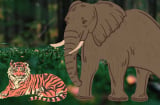 Vì sao động vật ăn Cỏ lại thường to hơn động vật ăn thịt? Người ăn thịt hay ăn rau thì to hơn?
