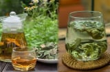 Lấy nắm lá này đun nước uống, mỗi ngày một cốc giúp giảm mỡ máu