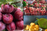 Ăn Vải, Mận, Mít có gây 'nóng trong' không, tại sao nhiều người bị 'nổi mụn' khi ăn?