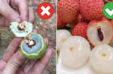 Cách chọn vải không bị sâu đầu, cùi dày, hạt nhỏ