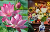 Thắp hương Hoa sen, chú ý 4 điều này tránh gây Sát khí, tổn hao Phúc Lộc, giữ trang nghiêm thờ cúng