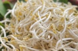 4 loại rau bổ hơn thịt, rẻ hơn thuốc, quý như nhân sâm – nhiều người bỏ qua mà không biết