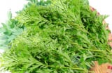 Rau ngải cứu nấu cùng thứ này vừa ngon lại có công dụng tuyệt vời, cả nam nữ đều cần