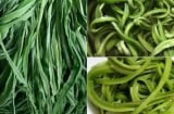 Loại rau Việt đắt hơn thịt, bổ ngang nhân sâm: Nhiều người vẫn bỏ qua mà không biết