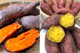 Khoai lang lành tính, tốt cho cơ thể nhưng có 5 nhóm người không nên ăn