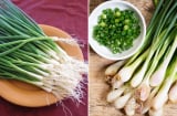 Hành lá là gia vị không thể thiếu trong nhiều món nhưng có 4 nhóm người không nên ăn