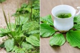 Loại lá đem đun nước uống giúp thải độc, mát gan