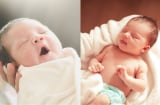 5 dấu hiệu trẻ sơ sinh thông minh mà cha mẹ có thể dễ dàng nhận ra