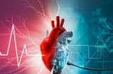 Dấu Hiệu Cảnh Báo Sắp Nhồi Máu Cơ Tim