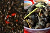 Mẹo ngâm ốc nhanh nhả sạch nhớt, bẩn, không tanh