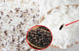 Bỏ thứ này vào thùng gạo, mọt không bao giờ xuất hiện
