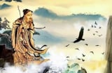 Người xưa dặn: Hai loài chim là “sứ giả của tai ương” bay vào nhà báo hiệu điềm dữ