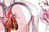Vì sao tim ít khi bị ung thư? Lý do ít ai ngờ đằng sau sự “miễn nhiễm” đặc biệt của trái tim