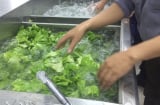 Rửa rau đừng ngâm nước muối, muốn rau sạch, hết thuốc cứ thêm 1 bước này