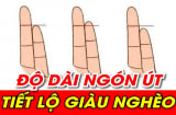 Xem độ dài ngón út, biết ngay ai nghèo hèn mạt kiếp, ai sinh ra 'ngậm thìa vàng'