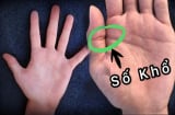 Xoè bàn tay xem: Ai có 1 điểm này phúc mỏng - phận bạc, khó mà thoát nghèo