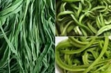 Bật mí loại rau Việt đắt hơn thịt, bổ ngang nhân sâm nhưng ít ai biết để thưởng thức