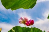 4 dấu hiệu cho thấy một gia đình sắp 'đổi vận': Nắm bắt đúng lúc, phúc khí tự đến