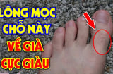 4 vị trí mọc lông Trời Cho Lộc Lớn, mở cửa đón Tiền Tài