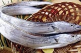 Đi chợ gặp 5 loại cá này đừng tiếc tiền mua, vừa ngon vừa bổ lại đánh bắt tự nhiên 100%