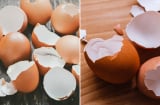 Vỏ trứng đừng đem bỏ, giữ lại có 4 lợi ích tuyệt vời, nhà nào cũng cần