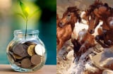 Chạy đua với Thần Tài: 3 con giáp như nam châm hút tiền cuối tháng 6, sang tháng 7 giàu đến ngộp thở