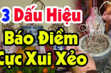 Làm ăn thất bát, cày cuốc mãi vẫn nghèo: Về xem bát hương có dấu hiệu này không?