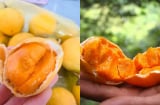 Quả gùi – “viên ngọc thô” từ rừng sâu An Giang bỗng trở thành đặc sản gây sốt phố thị