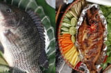 Cá rô phi – “gà nước” bình dân mà bổ xương khớp chẳng thua gì thuốc