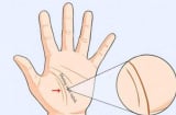 Giải mã 3 đường chỉ tay liên quan đến vận mệnh mỗi người