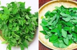 Tại sao khi nấu rau ngót, phải vò lá rau trước khi nấu?