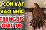 5 con vật Đệ Tử Thần Tài, đến nhà là Trúng Số giàu to