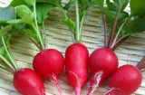 Các chuyên gia khuyên bạn nên ăn 7 món ăn này để thận của bạn luôn khỏe mạnh
