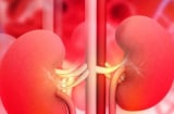 Gia tăng Suy Thận ở Người trẻ, một thói quen cực hại thận mà nhiều người đang mắc
