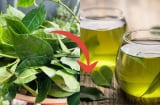 Mẹo pha trà tươi: Nước xanh, không chát, để lâu không bị đỏ nước