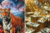 Top 4 tuổi Tay Trắng Làm Nên Nghiệp Lớn từ 3/7 đến 20/7, Công Danh nở rộ, của cải dư thừa
