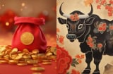 4 con giáp không chỉ giỏi kiếm tiền mà còn biết cách giữ tiền, sau tuổi 45 giàu như vũ bão