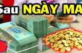 20 ngày liên tiếp: 4 tuổi Đắc Sủng Thần Tài, Phúc - Lộc - Thọ Tề Tựu, giàu nứt vách