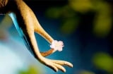 Con đường duy nhất để cải biến vận mệnh là hành thiện tích đức, cải biến nhân tâm