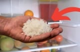 Đặt 1 nắm muối vào tủ lạnh: Công dụng 'vàng' nhà nào cũng rất cần