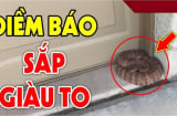 3 con vật này vào nhà ai cũng sợ: Điềm báo Trúng Số Phát Tài, đừng dại đuổi đi