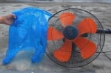 Mẹo vệ sinh quạt sạch bóng chỉ với 1 túi nilon – không cần tháo khung, ai cũng làm được