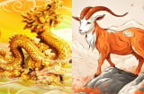 Cuối năm đại phát: 4 con giáp chớp lấy thời cơ, xoay chuyển vận mệnh rực rỡ, số 1 giàu sụ