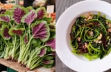 Loại rau 'trường thọ' giá vài nghìn bán đầy chợ: Canxi gấp 3 lần sữa, 'thần dược' cho xương khớp