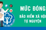 Mức hỗ trợ đóng bảo hiểm xã hội tự nguyện từ tháng 7/2025 là bao nhiêu?