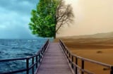 Tổ tiên dạy: Muốn biết lòng người sâu cạn, chỉ cần nhìn kỹ 2 điểm này là đủ