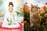 Hoa Rơi Cửa Phật: 3 tuổi Quan Thế Âm Độ Mạng, tháng 7 Trúng Số, tháng 8 Tiền Về Như Nước