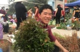 Loại rau ăn ngon bổ dưỡng này ở miền núi phía Bắc, xưa mọc dại không ai hái, nay tranh nhau